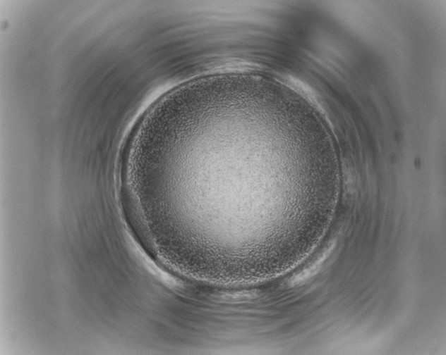 X0000070410843200606161409