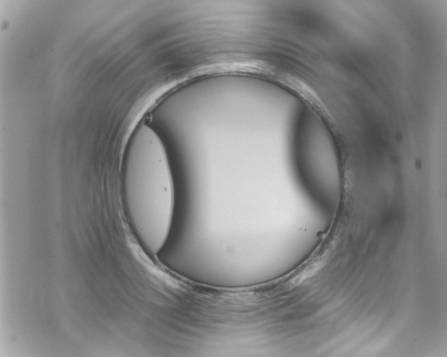 X0000070410844200606161409