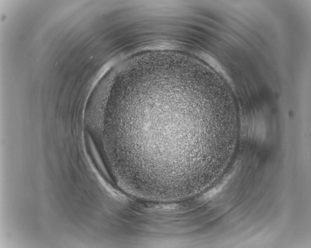 X0000070410845200606161409