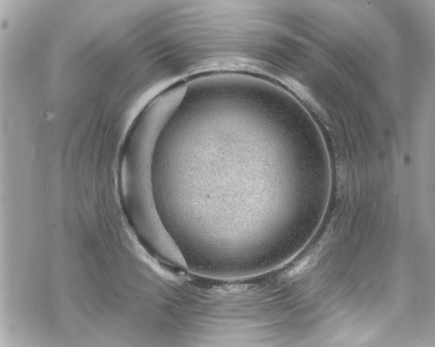 X0000070410846200606161409