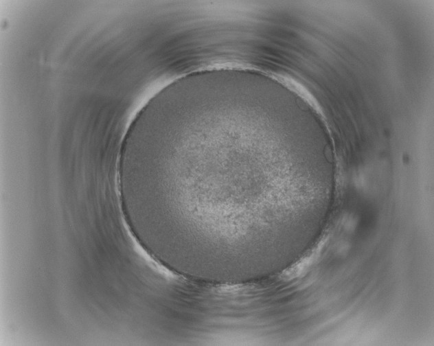 X0000070410847200606161409