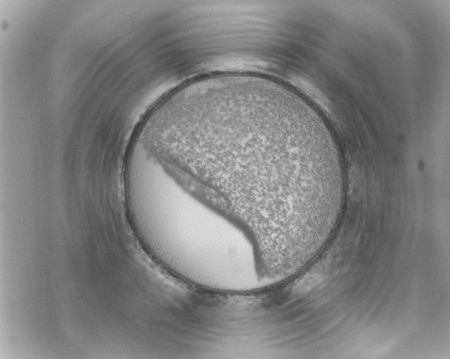 X0000070410848200606161409