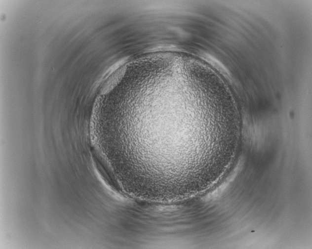 X0000070410849200606161409