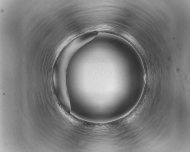 X0000070410850200606161409