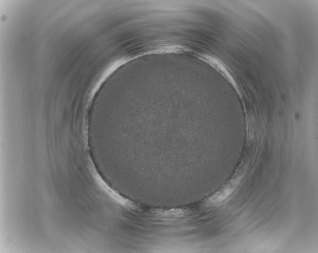 X0000070410851200606161409