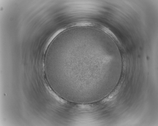 X0000070410852200606161409