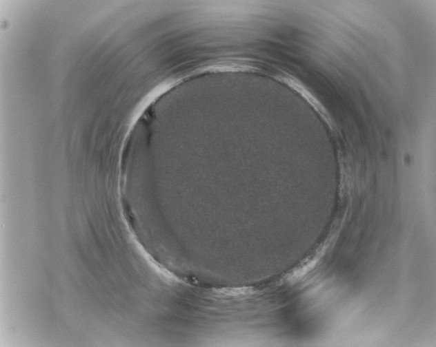 X0000070410853200606161409