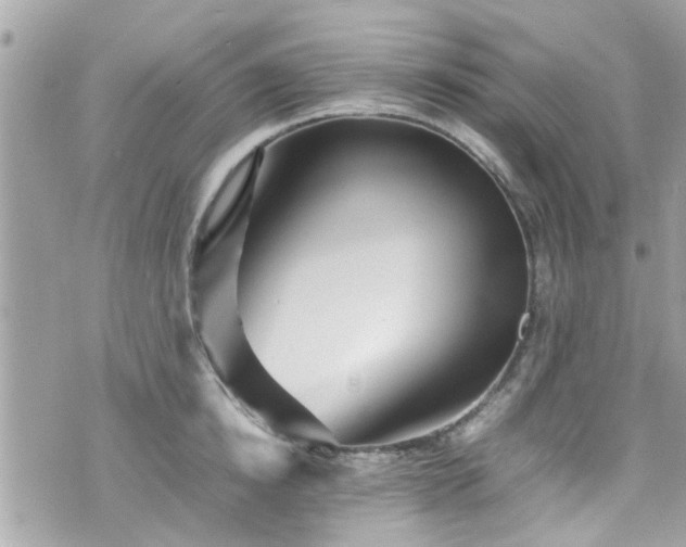 X0000070410854200606161409