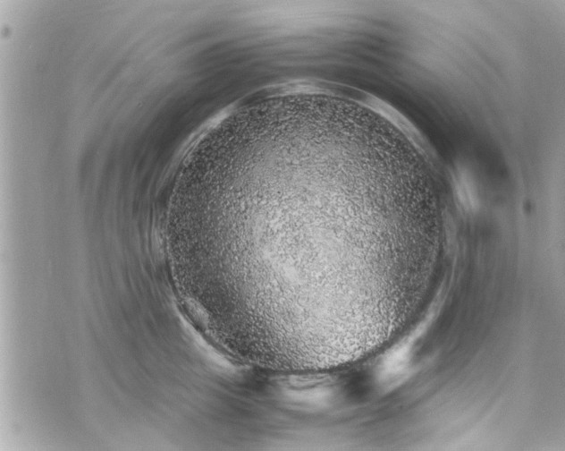 X0000070410857200606161409