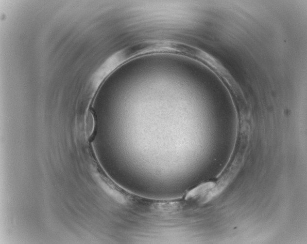 X0000070410858200606161409