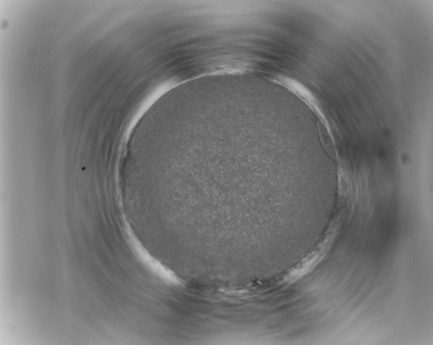 X0000070410859200606161409