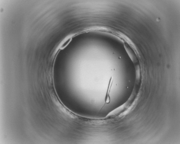 X0000070410860200606161409