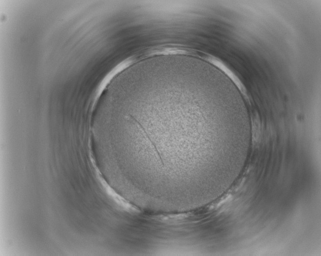 X0000070410861200606161409