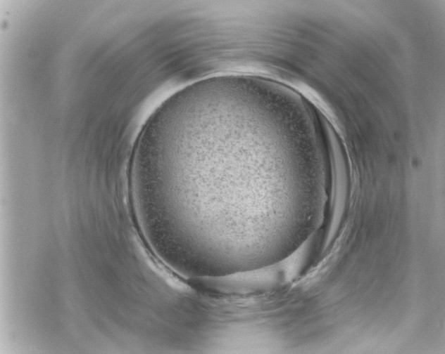 X0000070410862200606161409