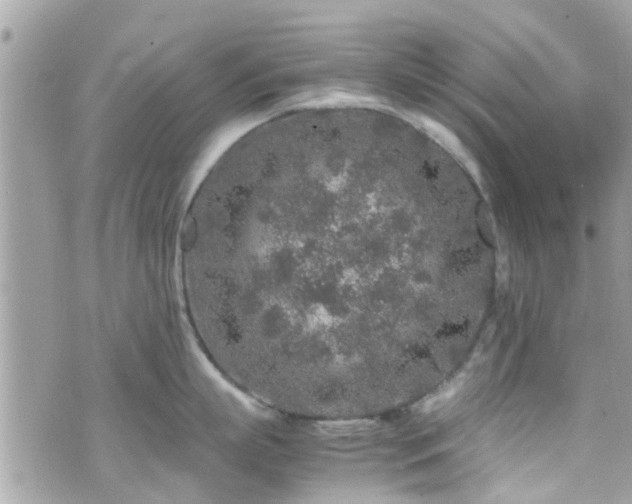 X0000070410863200606161409