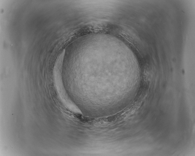 X0000070410865200606161409