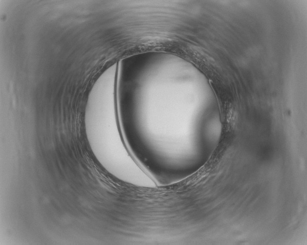 X0000070410868200606161408