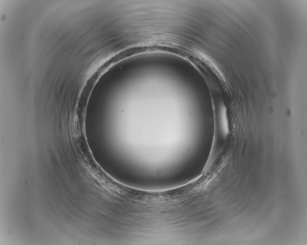 X0000070410876200606161408