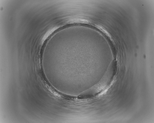 X0000070410877200606161408