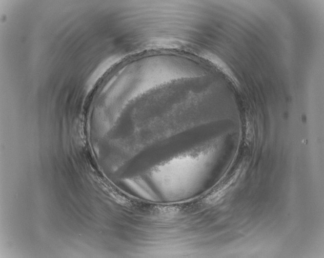 X0000070410878200606161408