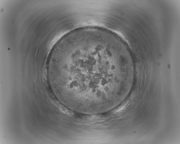 X0000070410879200606161408