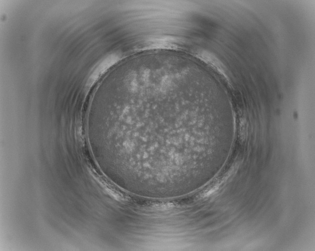 X0000070410882200606161408