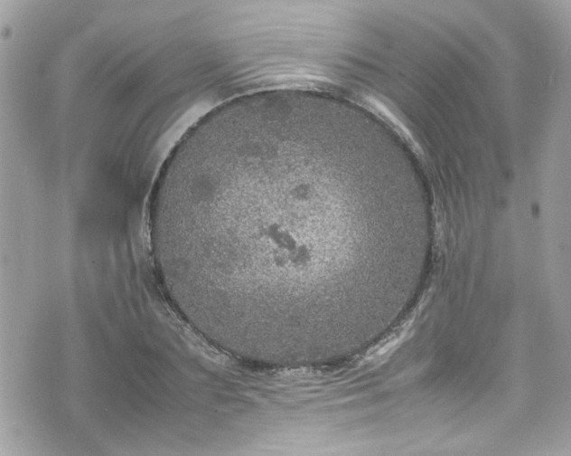 X0000070410883200606161408