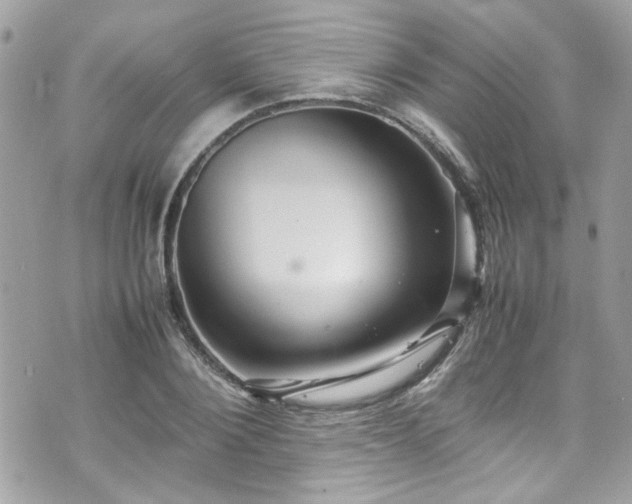 X0000070410884200606161408