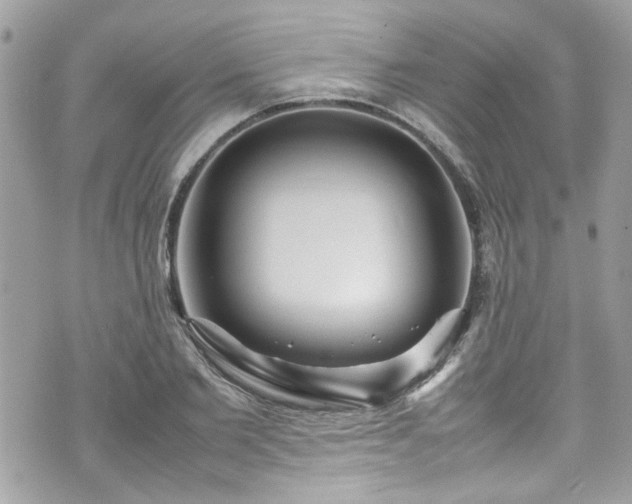 X0000070410885200606161408