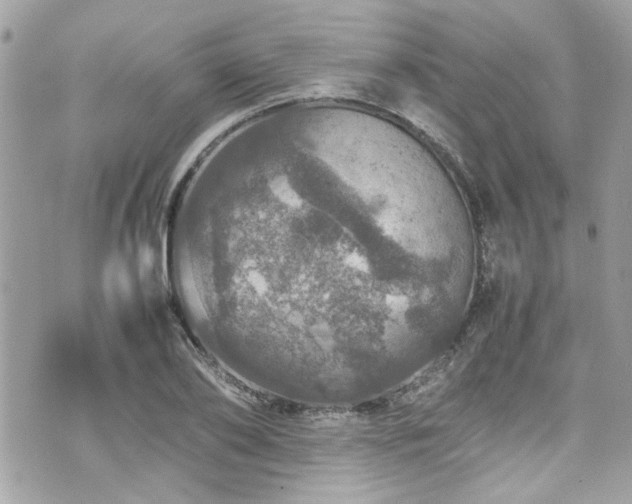 X0000070410886200606161408