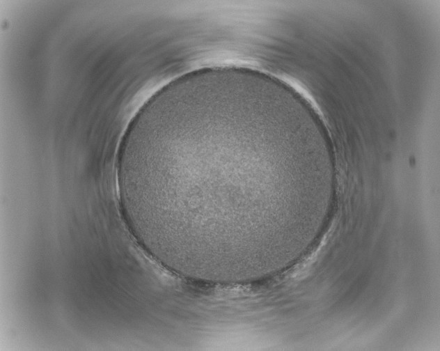 X0000070410887200606161408