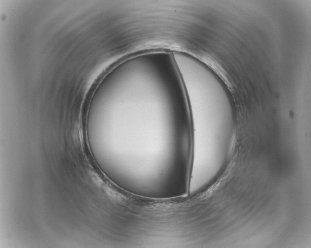 X0000070410888200606161408