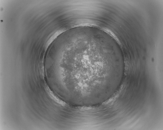 X0000070410890200606161408