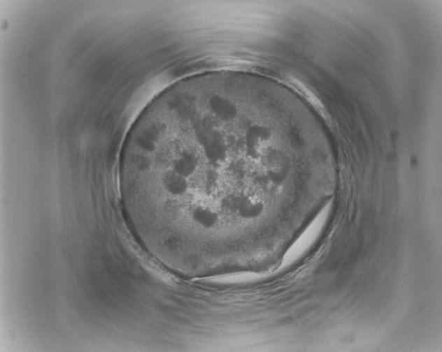 X0000070410891200606161408