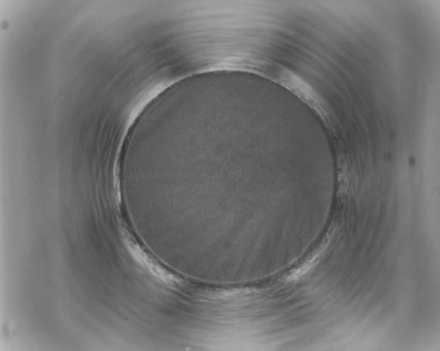 X0000070410892200606161408