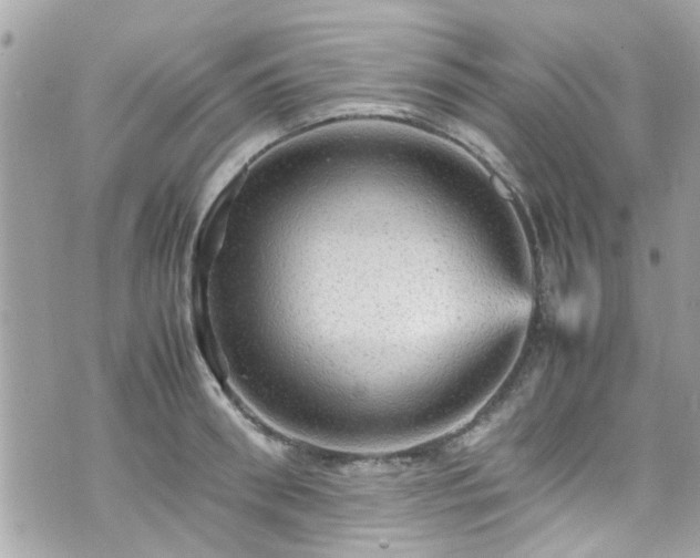 X0000070410898200606161408