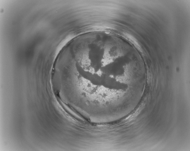 X0000070410899200606161408