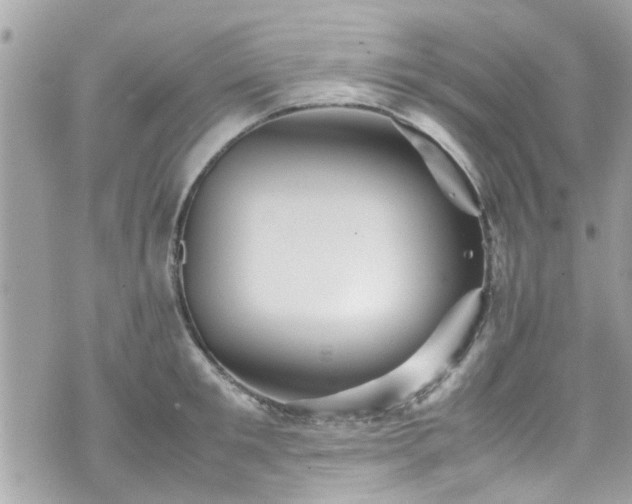 X0000070410901200606161408