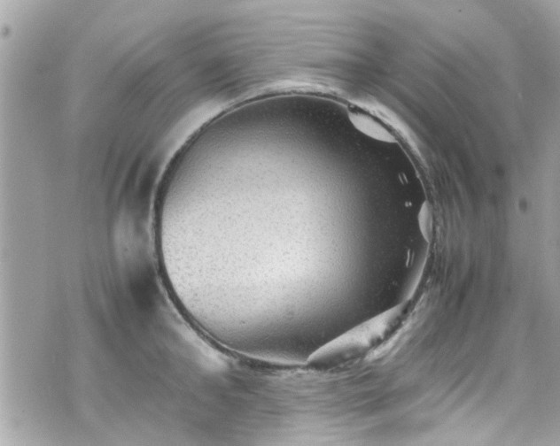 X0000070410902200606161408