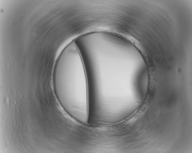 X0000070410904200606161408