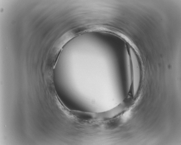 X0000070410905200606161408