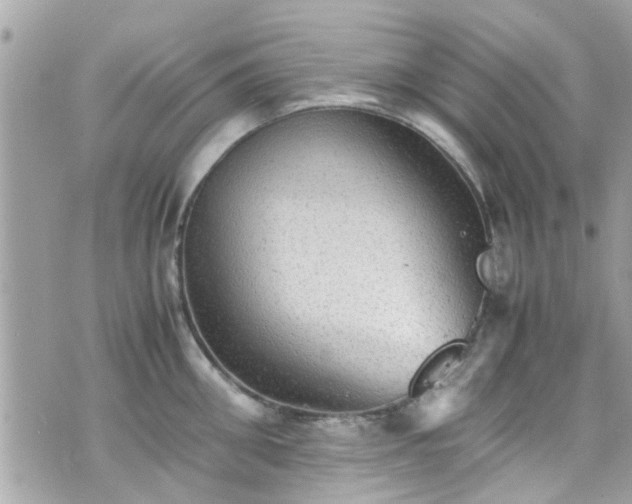 X0000070410906200606161408