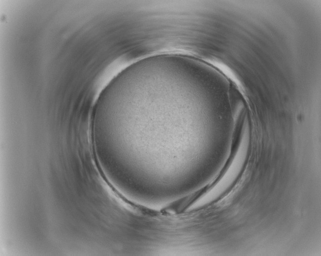 X0000070410910200606161408