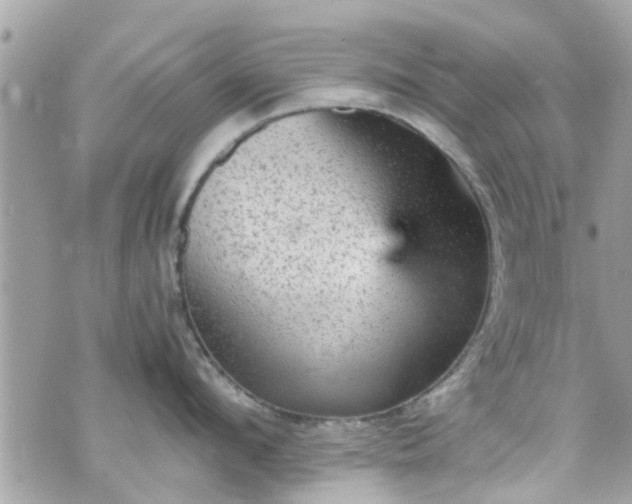 X0000070410912200606161408