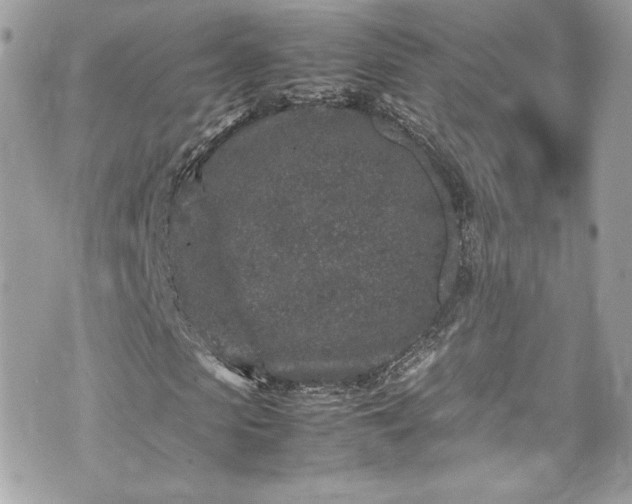 X0000070410913200606161407