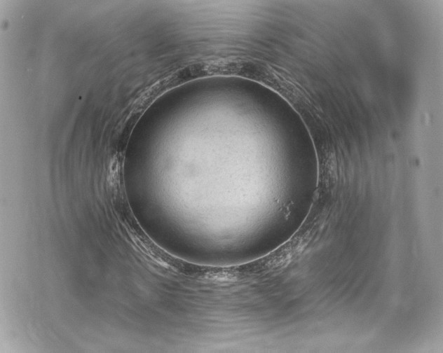 X0000070410914200606161407