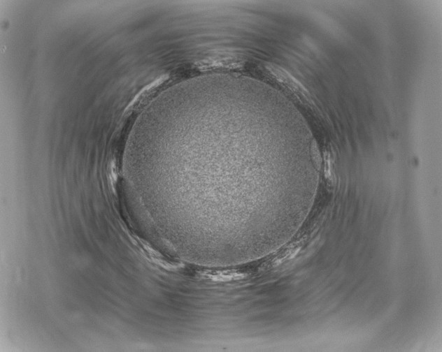 X0000070410915200606161407