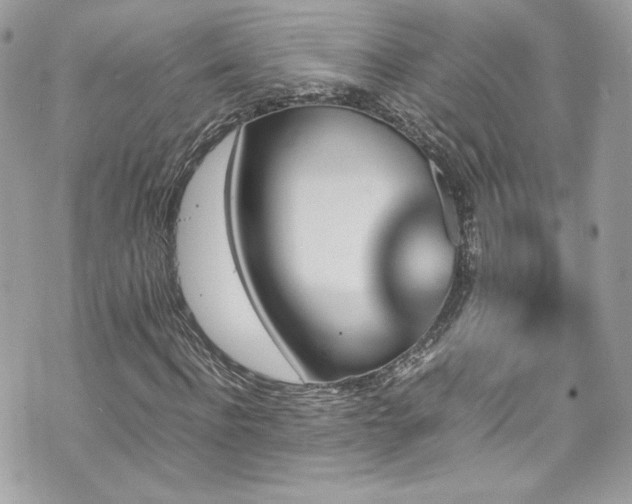 X0000070410916200606161407