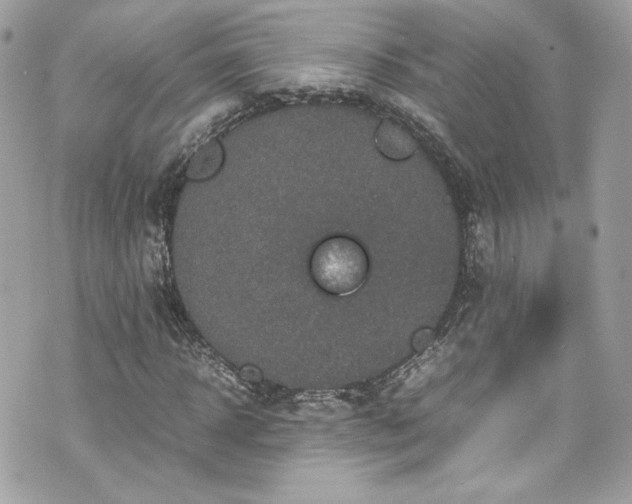 X0000070410918200606161407