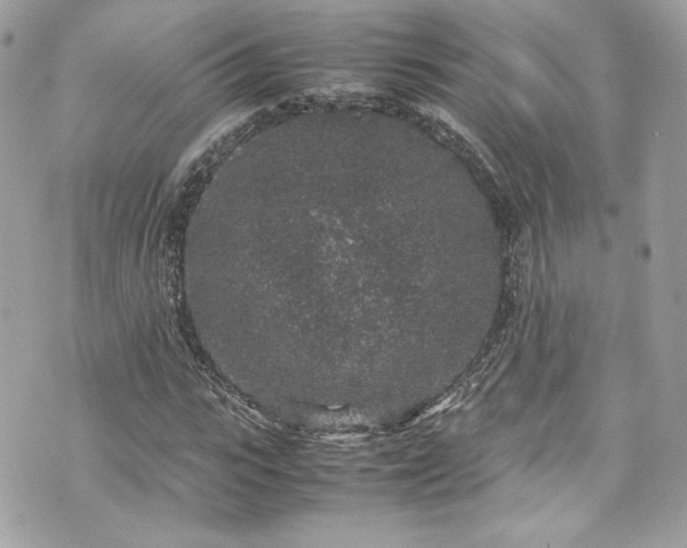 X0000070410919200606161407